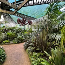 Cairns Botanic Gardens - Cairns