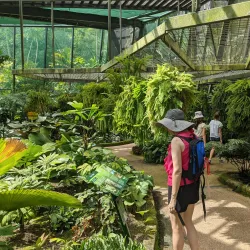 Cairns Botanic Gardens - Cairns