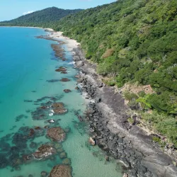 Daintree Rainforest - Cairns
