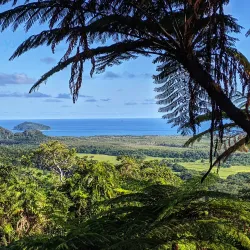 Daintree Rainforest - Cairns