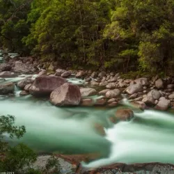 Daintree Rainforest - Cairns