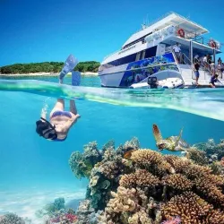 Great Barrier Reef - Cairns
