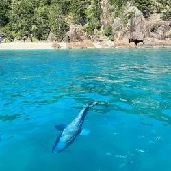 Great Barrier Reef - Cairns