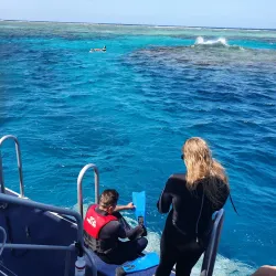 Great Barrier Reef - Cairns