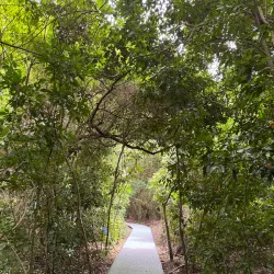 Green Island - Cairns