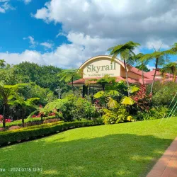 Skyrail Rainforest Cableway - Cairns