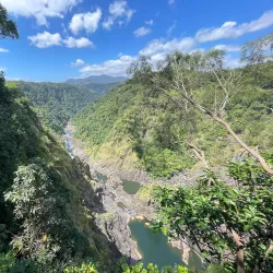 Skyrail Rainforest Cableway - Cairns