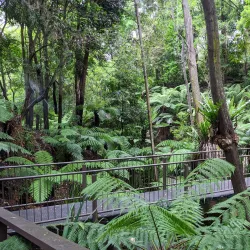 Australian National Botanic Gardens - Canberra