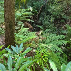 Australian National Botanic Gardens - Canberra
