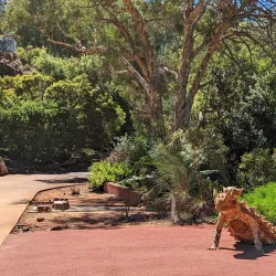 Australian National Botanic Gardens - Canberra