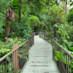Australian National Botanic Gardens - Canberra