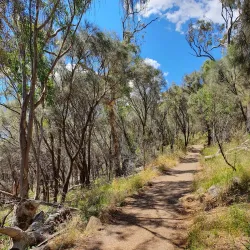 Mount Ainslie Lookout - Canberra