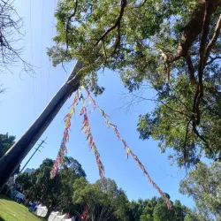 Bankstown Arts Centre - Canterbury-Bankstown