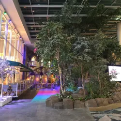 Bankstown Sports Club - Canterbury-Bankstown