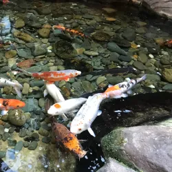 Bankstown Sports Club - Canterbury-Bankstown