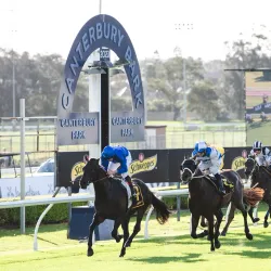 Canterbury Racecourse - Canterbury-Bankstown