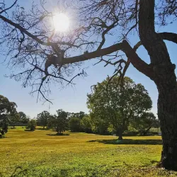 Miranda Park - Canterbury-Bankstown