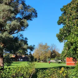 Wattle Grove Reserve - Canterbury-Bankstown