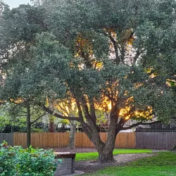 Wattle Grove Reserve - Canterbury-Bankstown