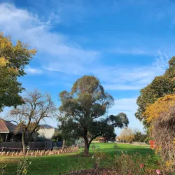 Wattle Grove Reserve - Canterbury-Bankstown