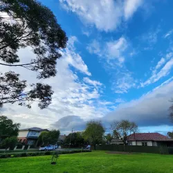 Wattle Grove Reserve - Canterbury-Bankstown