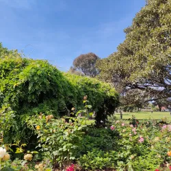 Wattle Grove Reserve - Canterbury-Bankstown