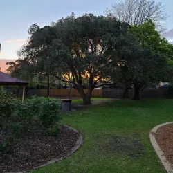 Wattle Grove Reserve - Canterbury-Bankstown