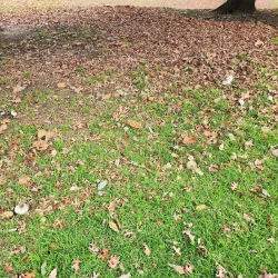 Wattle Grove Reserve - Canterbury-Bankstown