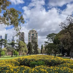 Carlton Gardens - Carlton