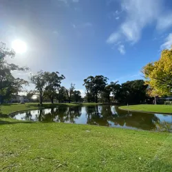 Carlton North - Carlton