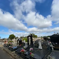 Carlton North - Carlton