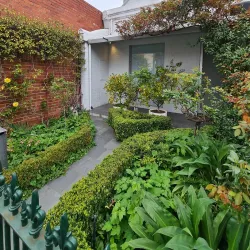 Carlton North - Carlton