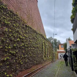 Carlton North - Carlton