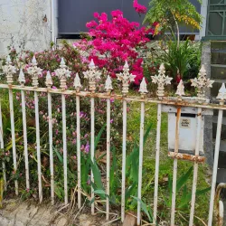 Carlton North - Carlton