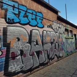 Carlton North - Carlton