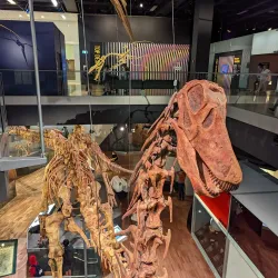 Melbourne Museum - Carlton