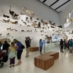 Melbourne Museum - Carlton