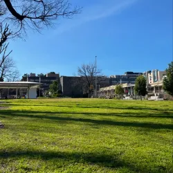 University of Melbourne - Carlton