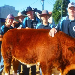 Casino Beef Week - Casino