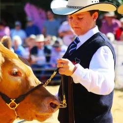 Casino Beef Week - Casino