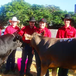 Casino Beef Week - Casino