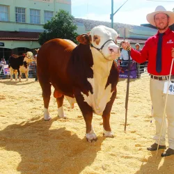 Casino Beef Week - Casino