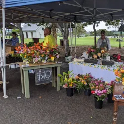 Casino Farmers Market - Casino