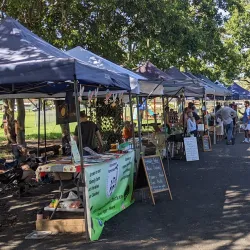 Casino Farmers Market - Casino