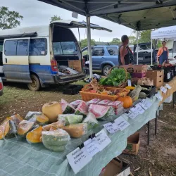 Casino Farmers Market - Casino