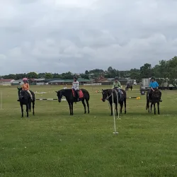 Casino Showground - Casino