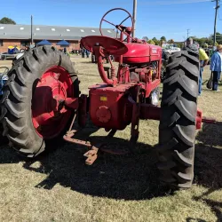 Casino Showground - Casino