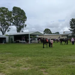 Casino Showground - Casino