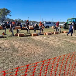 Casino Showground - Casino