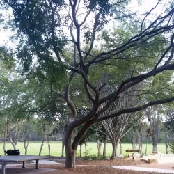 Bicentennial Reserve - Castle Hill
